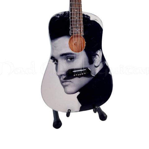 Elvis Presley the King of Rock 'N Roll Acoustic Mini Guitar II